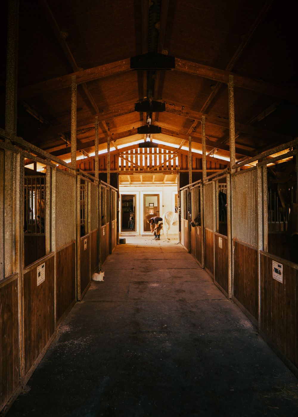 Horse Livery